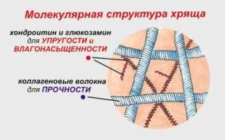 Эльбона цена в Москве от 960 руб., купить Эльбона, отзывы и инструкция по применению