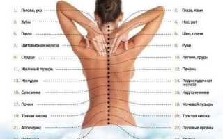 Классический массаж спины: техника выполнения, приемы, схема